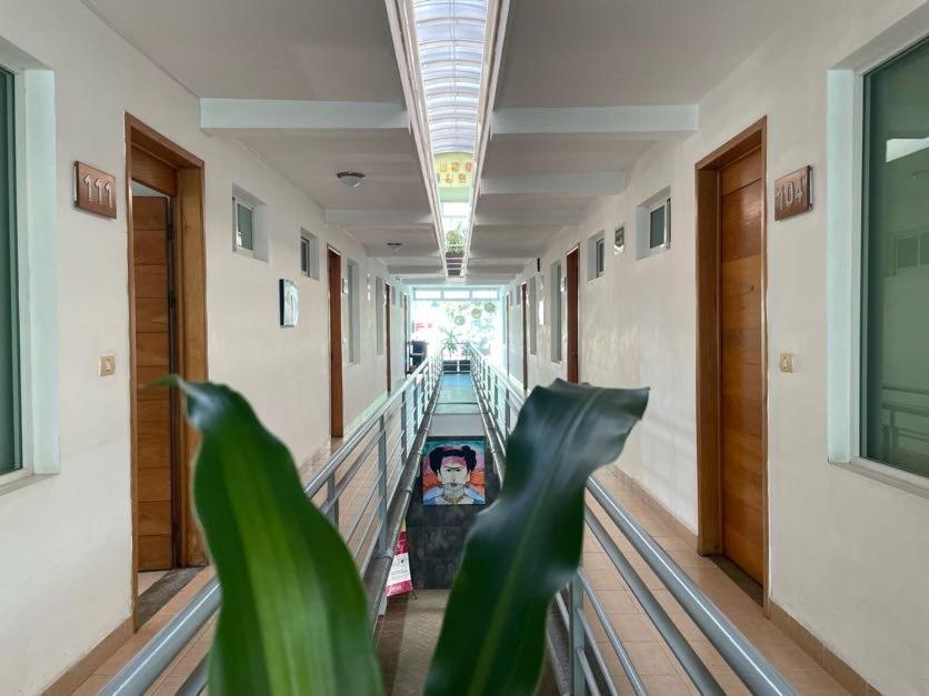 Hotel Santo Domingo Express Villahermosa Bagian luar foto