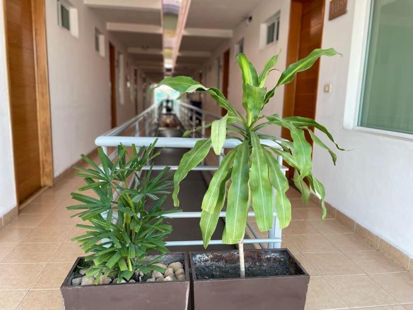 Hotel Santo Domingo Express Villahermosa Bagian luar foto